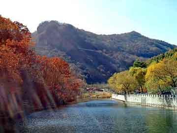 天天彩好彩天天免费，台北seo建站